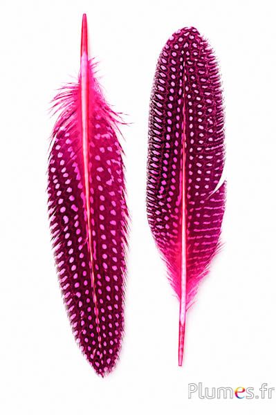 Parelhoen - 16-20 cm - roze
